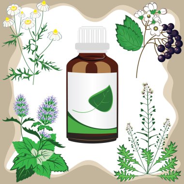 Medicinal herbs with bottle, vector illustration clipart