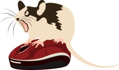Mouse sitting on top of the computer mouse, vector illustration clipart
