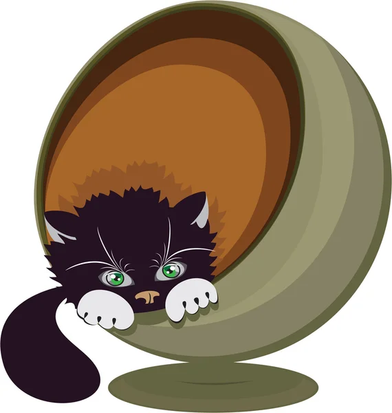 Black and white cat in a round recliner, vector illustration — Stock Vector