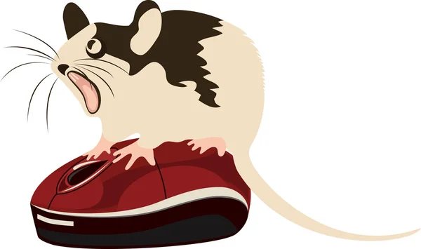 Rato sentado em cima do mouse do computador, ilustração vetorial — Vetor de Stock