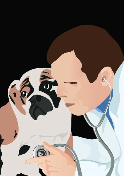Veterinär med stetoskop och hund, vektor illustration — Stock vektor