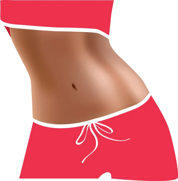 Músculos abdominales. Cintura delgada. Primer plano del vientre . — Vector de stock