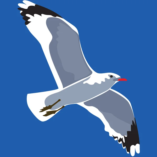 在飞行，在天空中的海鸥海鸥 — 图库矢量图片
