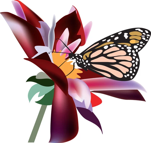 Çiçekteki kelebek — Stok Vektör