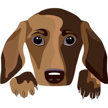 Futuristic dog - a portrait, white background, vector illustrat clipart