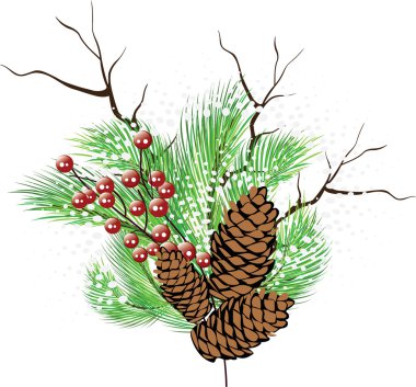 Christmas composition. Branches tree, branch with berries, cones clipart