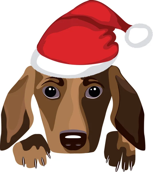 Dog wearing a Santa Claus hat over white background — Stock Vector