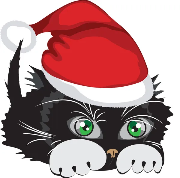 Kitten wearing a Santa Claus hat over white background — Stock Vector