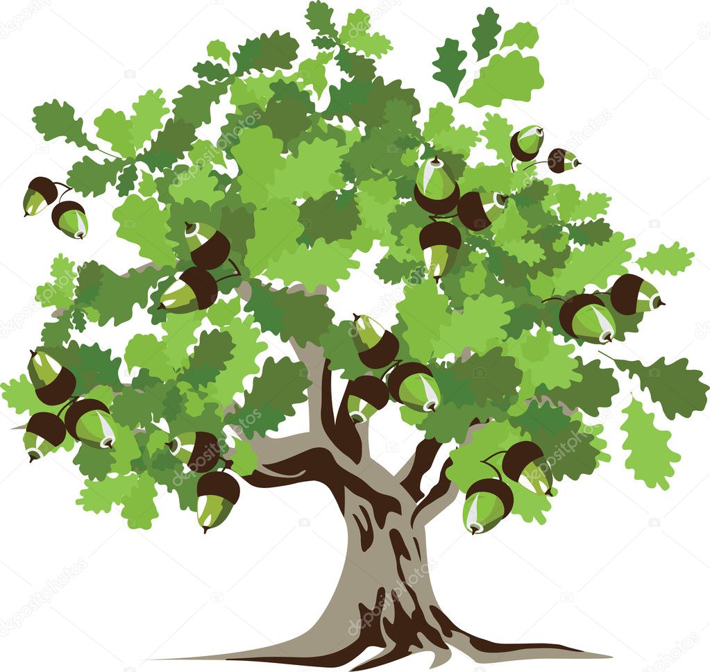 Big green oak tree with acorns, vector illustration