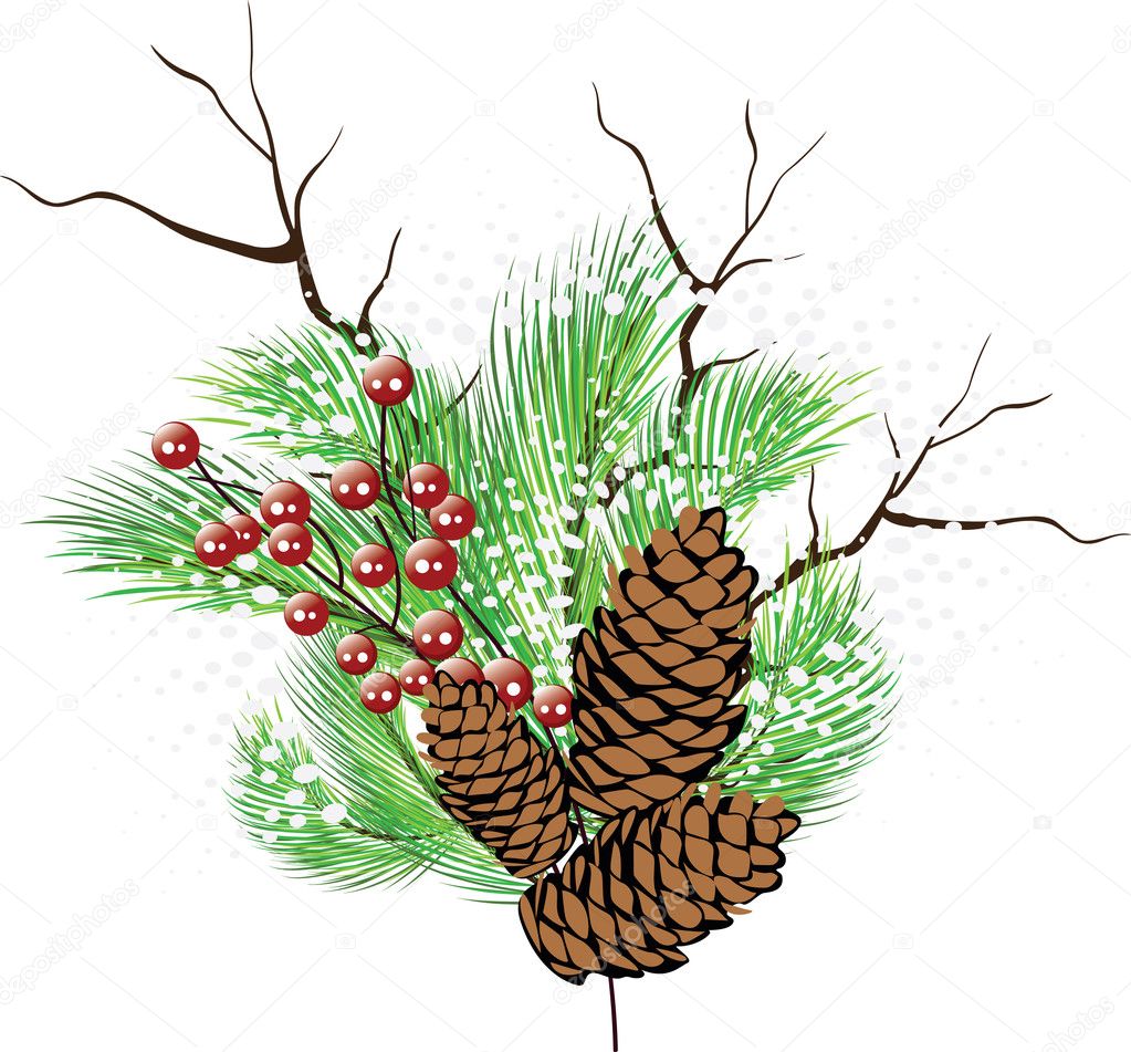 Christmas composition. Branches tree, branch with berries, cones