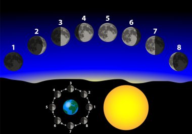 Phases of the moon clipart