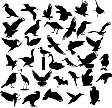 Bird silhouette clipart