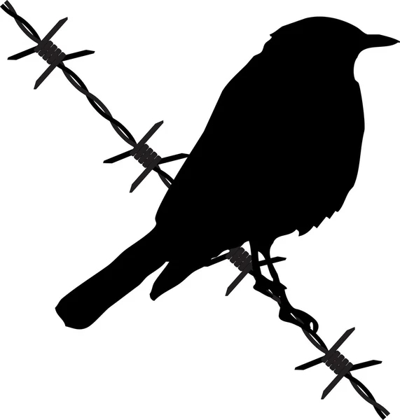 Oiseau sur le fil barbelé — Image vectorielle