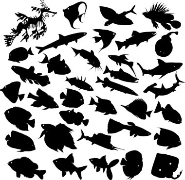 Fish silhouette clipart