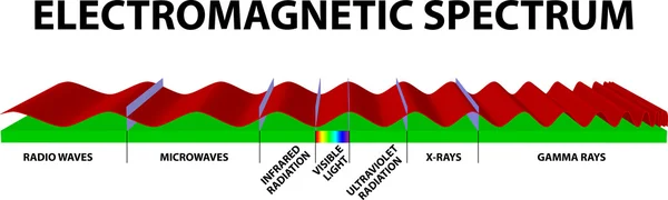 Spettro elettromagnetico — Vettoriale Stock