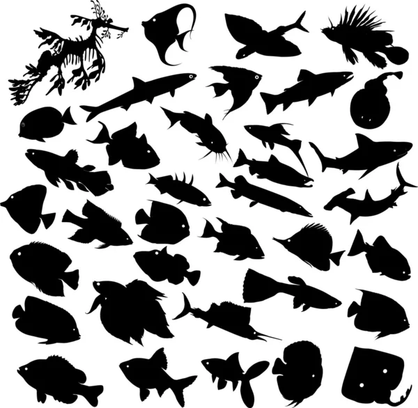 stock vector Fish silhouette