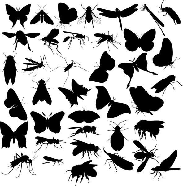Silhouette di insetti volanti — Vettoriale Stock
