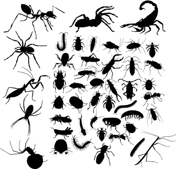 Siluetas de insectos — Archivo Imágenes Vectoriales