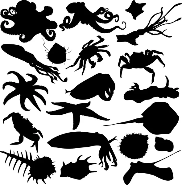 stock vector Marine animals