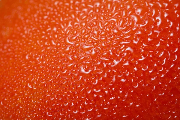 Tomate fresco — Foto de Stock
