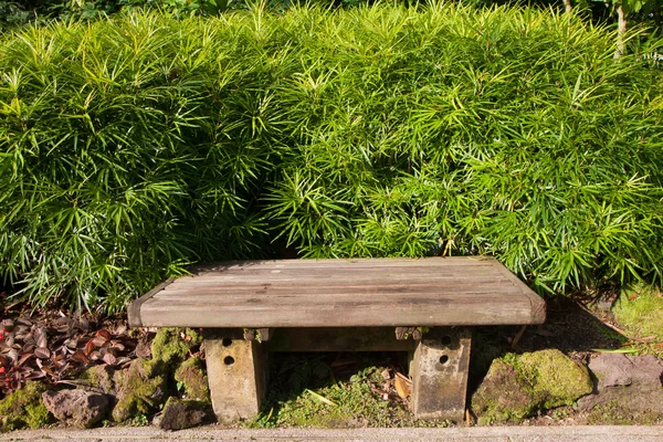 stock image Wood Bench