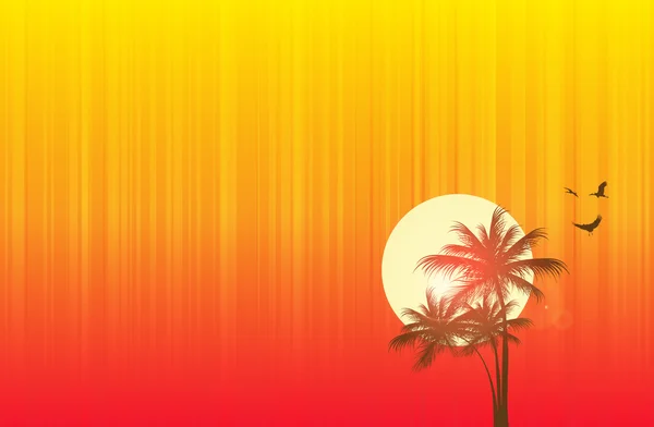 Beach Sunset — Stock Vector