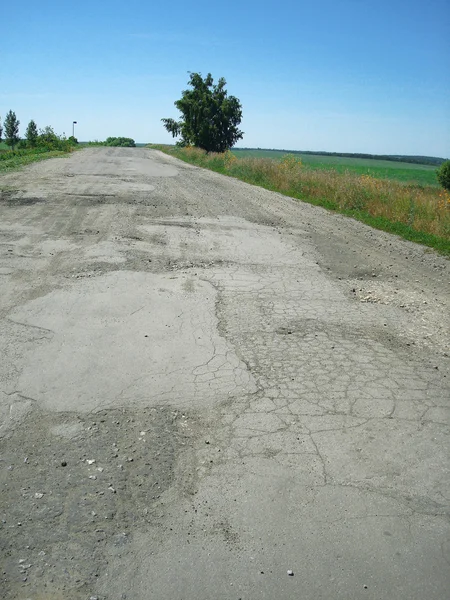 stock image The road to the village