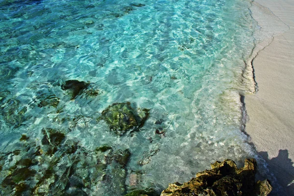 Karibikstrand und türkisfarbenes Wasser Stockfoto