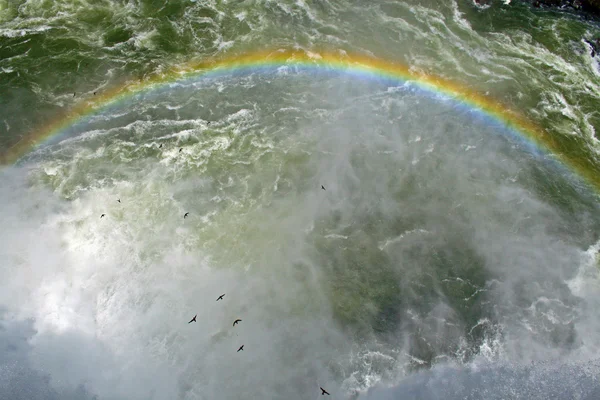 Vögel fliegen über Wasserfall und Regenbogen Stockbild