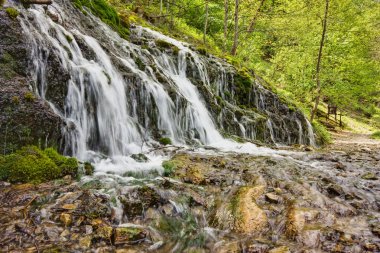 Stream in Autumn clipart