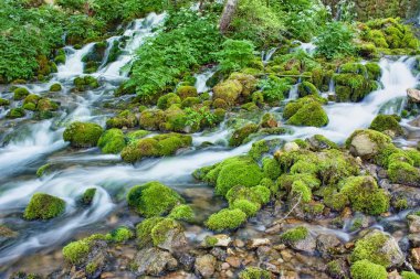 güzel creek