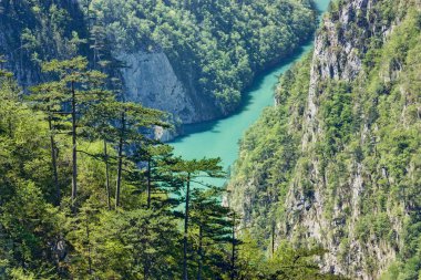 River Mountain