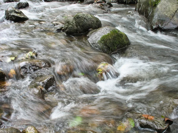 Stream in Autumn — Stock Photo, Image