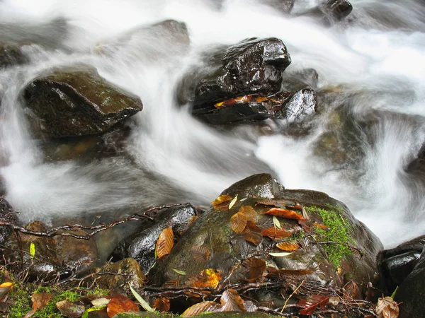 秋の流れ — ストック写真
