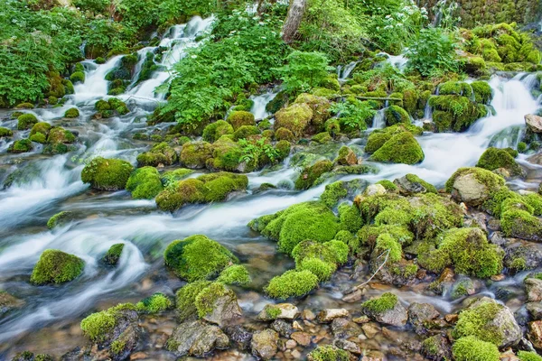 stock image Beautiful creek