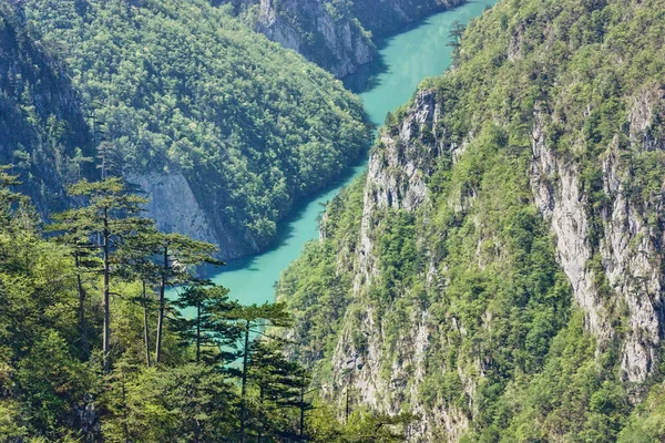 Гірській річці — стокове фото