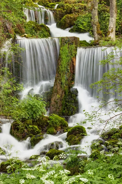 Stock image River in mountain