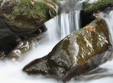 kaya çağlayan creek