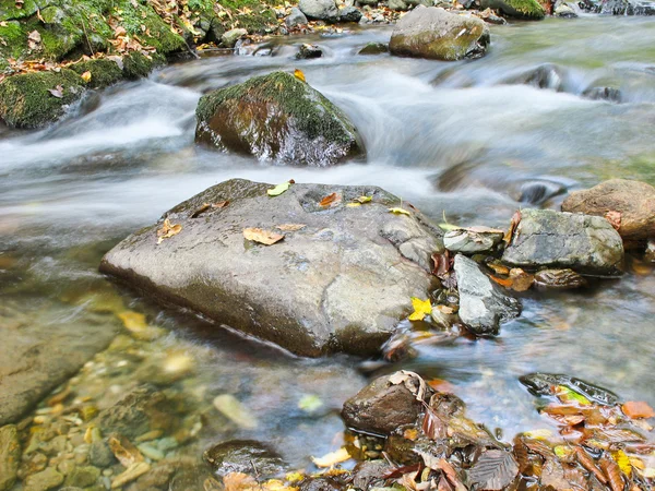 Creek in het najaar — Stockfoto