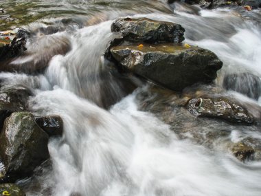 Art arda sıralı creek