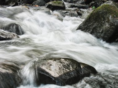 kaya çağlayan creek