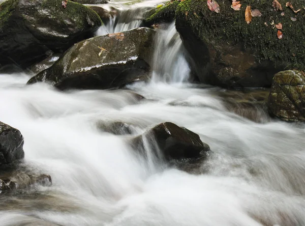 Cascata de riacho — Fotografia de Stock