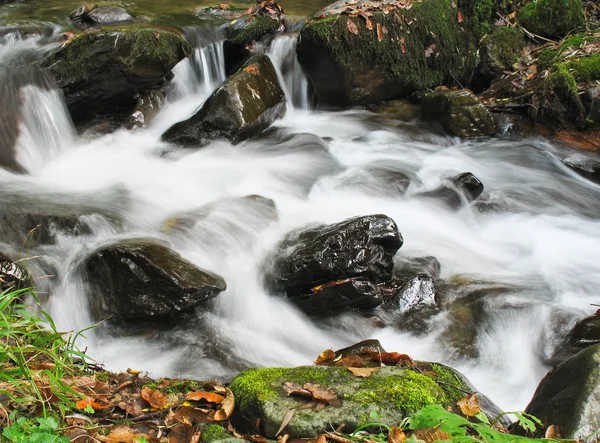 Creek en automne — Photo