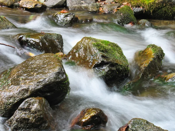 Stenar cascade creek — Stockfoto