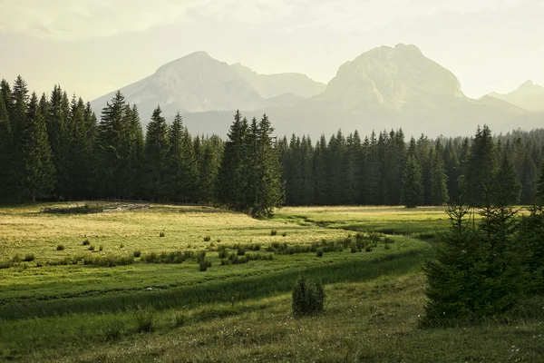 stock image Landscape