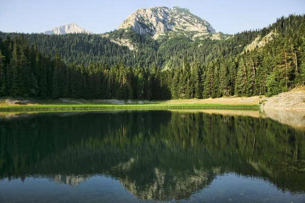Dağ, orman ve göl — Stok fotoğraf