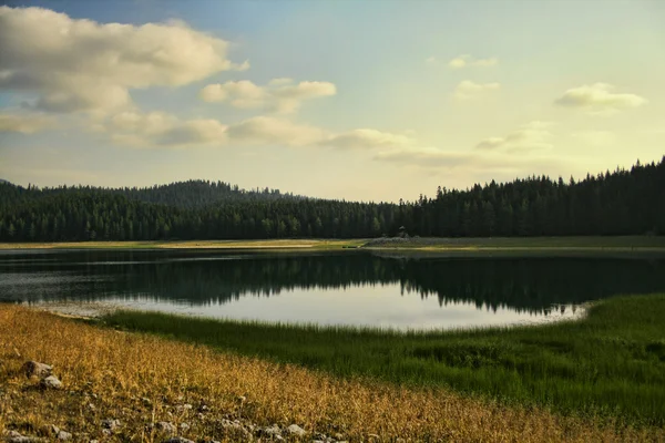 山、森林および湖 — ストック写真