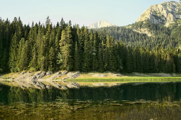 Berg, bos en meer — Stockfoto