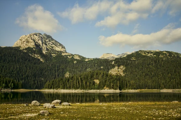 Dağ, orman ve göl — Stok fotoğraf