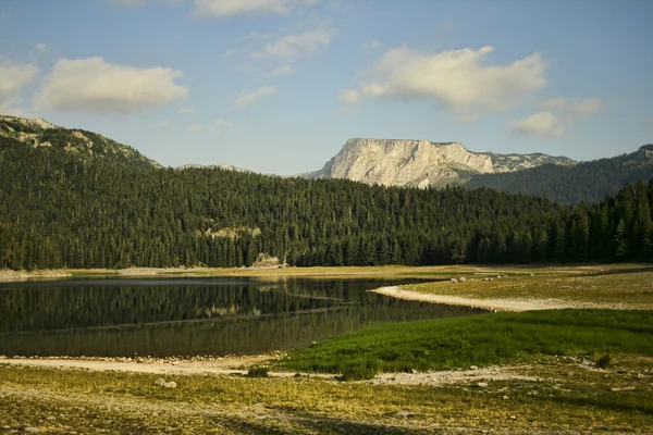 Montaña, bosque y lago — Foto de Stock